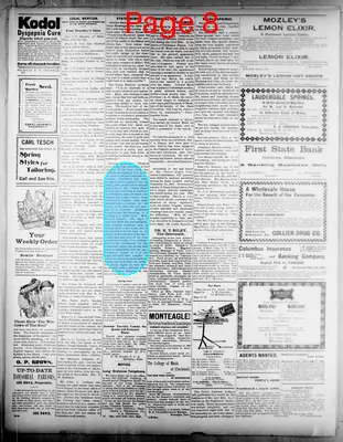 Page thumbnail for The Columbus Commercial