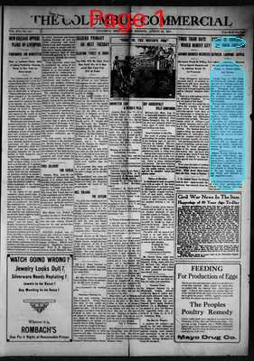 Page thumbnail for The Columbus Commercial