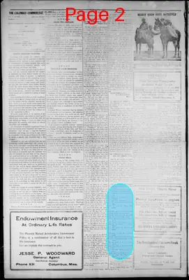 Page thumbnail for The Columbus Commercial