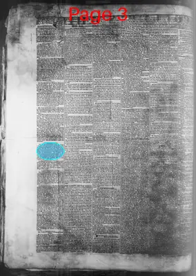 Page thumbnail for Columbus Whig