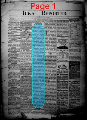 Page thumbnail for Iuka Reporter