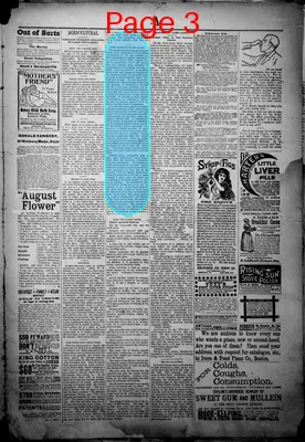 Page thumbnail for Iuka Reporter
