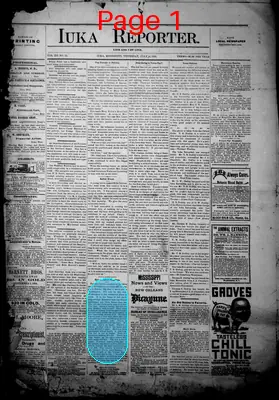 Page thumbnail for Iuka Reporter