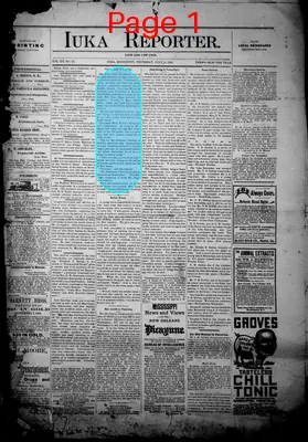 Page thumbnail for Iuka Reporter