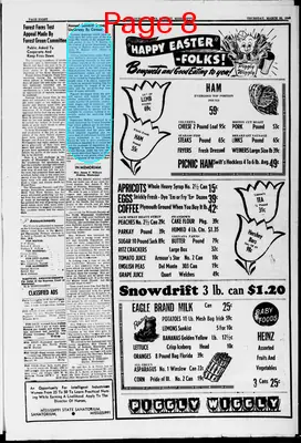 Page thumbnail for The Durant News