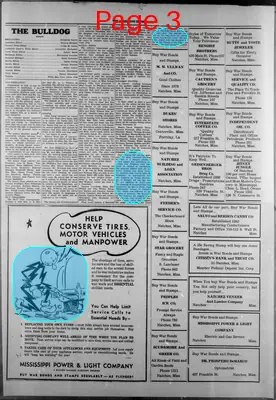 Page thumbnail for The Mississippi Enterprise