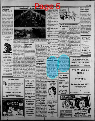 Page thumbnail for The Mississippi Enterprise