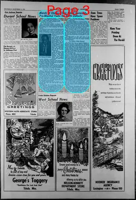 Page thumbnail for Holmes County Herald