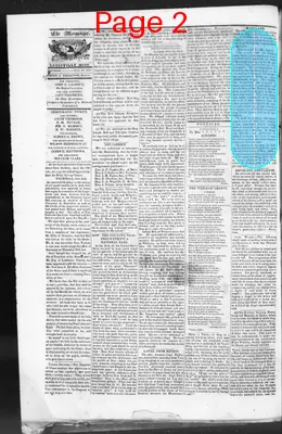 Page thumbnail for Louisville Messenger