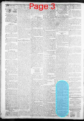Page thumbnail for The Panola Star