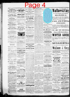 Page thumbnail for The Pascagoula Democrat Star