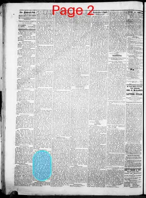 Page thumbnail for The Pascagoula Democrat Star