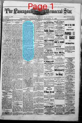 Page thumbnail for The Pascagoula Democrat Star