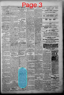 Page thumbnail for The Pascagoula Democrat Star