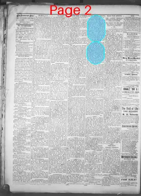 Page thumbnail for The Pascagoula Democrat Star