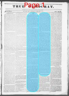 Page thumbnail for True Democrat