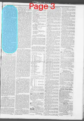 Page thumbnail for True Democrat