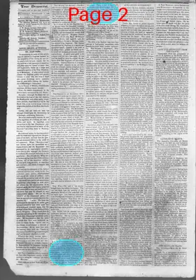 Page thumbnail for True Democrat