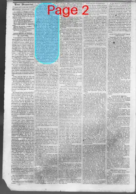 Page thumbnail for True Democrat