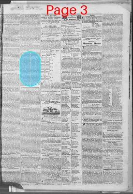 Page thumbnail for Southern Telegraph