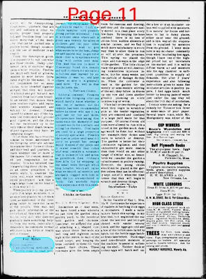Page thumbnail for The Southern Farm Gazette