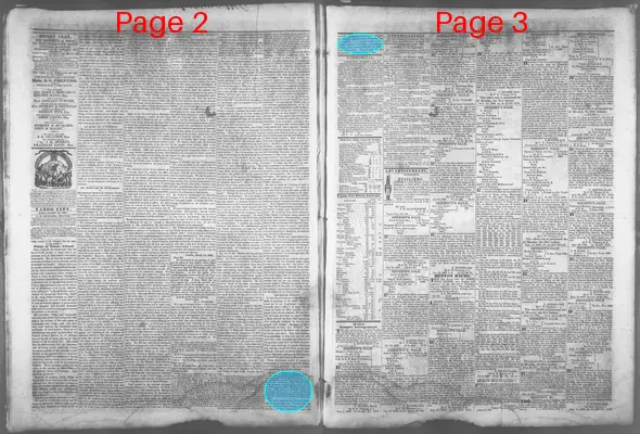 Page thumbnail for The Yazoo City Whig And Political Register