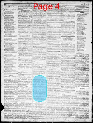 Page thumbnail for Southern Christian Advocate