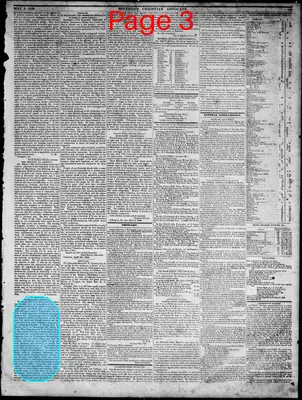 Page thumbnail for Southern Christian Advocate