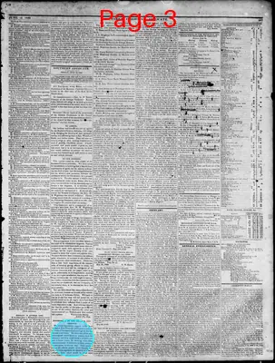 Page thumbnail for Southern Christian Advocate