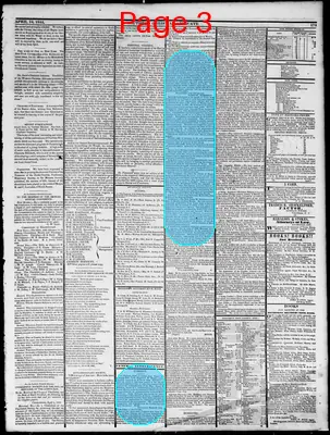 Page thumbnail for Southern Christian Advocate