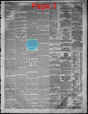 Page thumbnail for Southern Christian Advocate