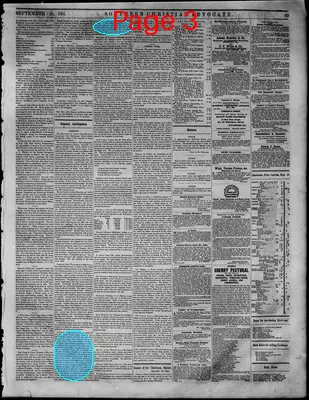 Page thumbnail for Southern Christian Advocate
