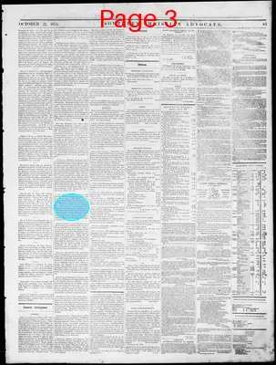 Page thumbnail for Southern Christian Advocate