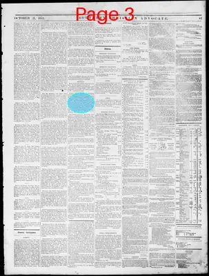 Page thumbnail for Southern Christian Advocate