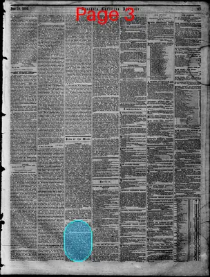 Page thumbnail for Southern Christian Advocate
