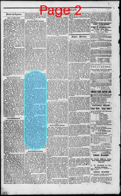 Page thumbnail for Southern Christian Advocate