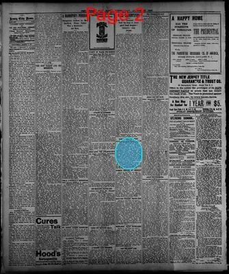 Page thumbnail for The Jersey City News