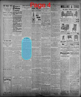 Page thumbnail for The Jersey City News