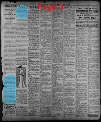 Page thumbnail for The Jersey City News