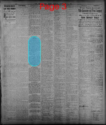 Page thumbnail for The Jersey City News