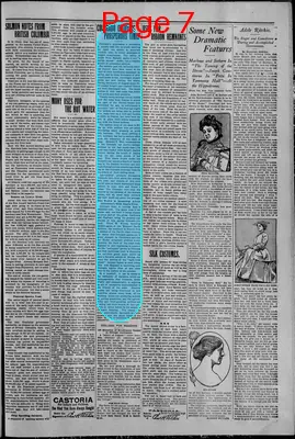 Page thumbnail for Bridgeton Pioneer