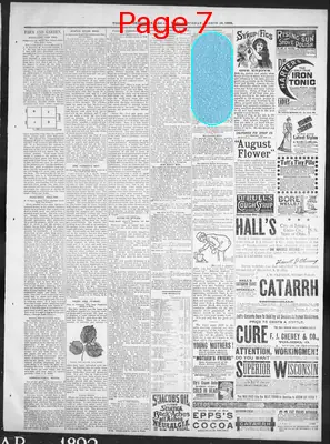 Page thumbnail for The Ohio Democrat