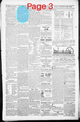 Page thumbnail for M'arthur Democrat
