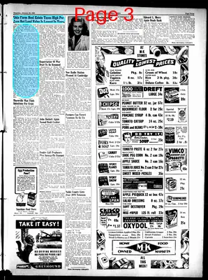 Page thumbnail for The Journal