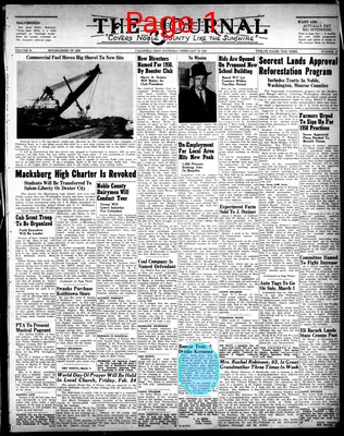 Page thumbnail for The Journal