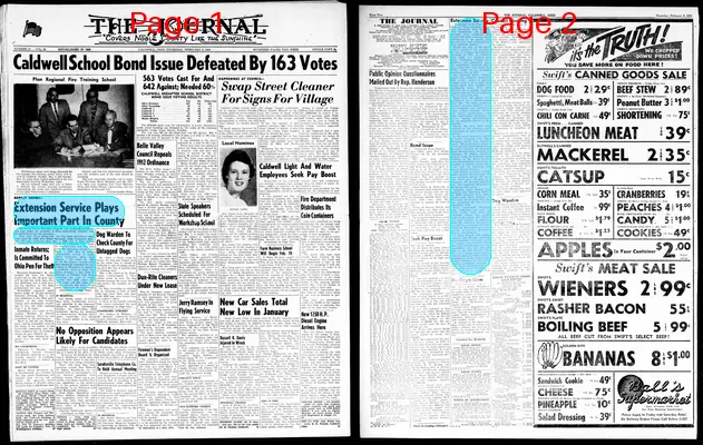Page thumbnail for The Journal