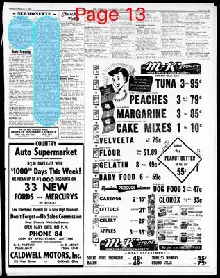 Page thumbnail for The Journal