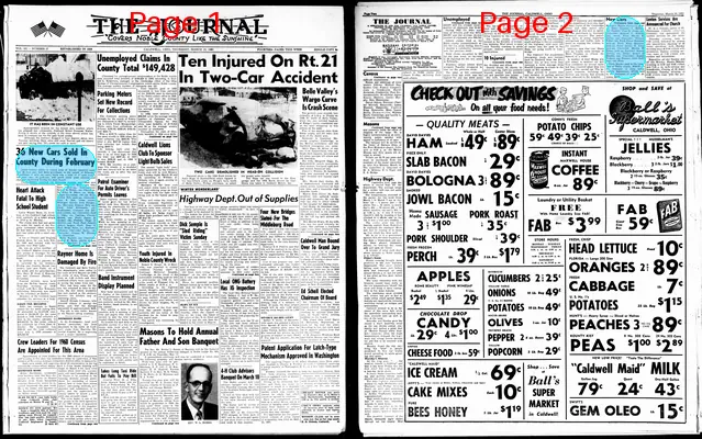 Page thumbnail for The Journal