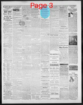 Page thumbnail for Perrysburg Journal