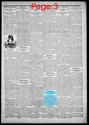 Page thumbnail for Perrysburg Journal